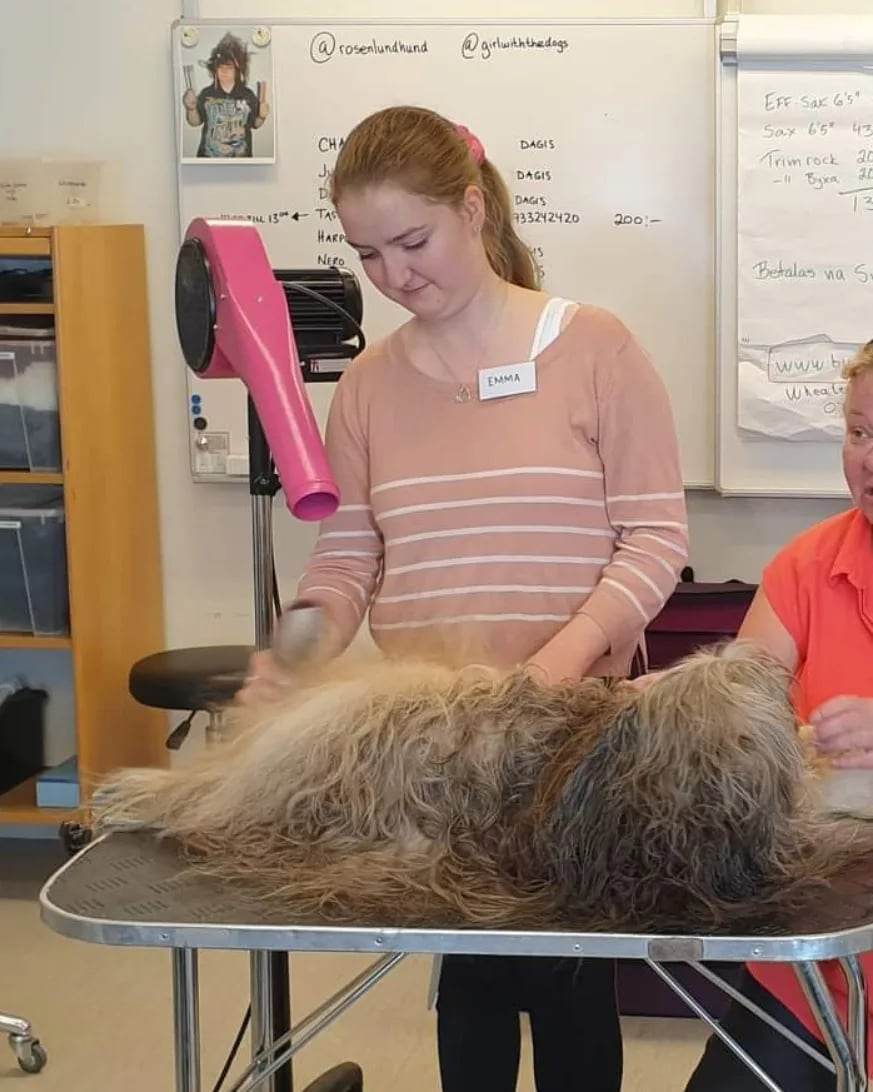 Emma arbetar med en långhårig hund